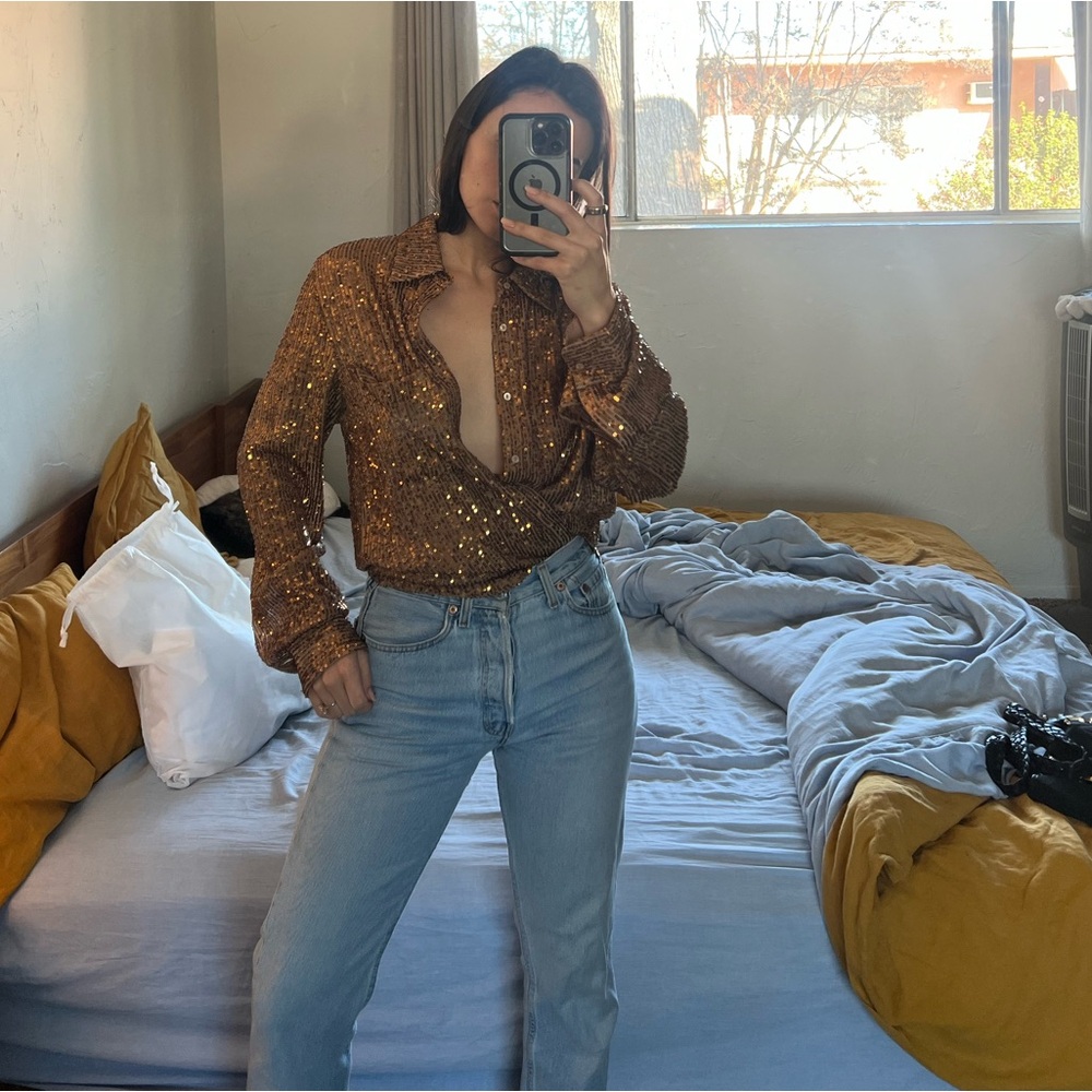 Zara collections sequin blouse